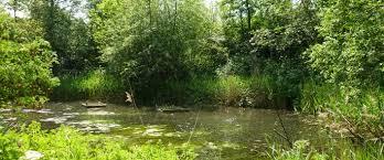 Parque Natural de Camley Street